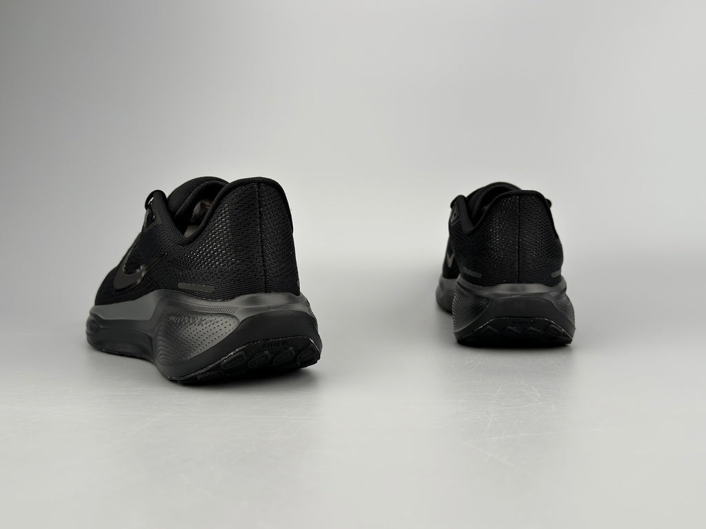 Air Zoom Pegasus 41