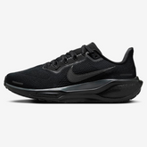Air Zoom Pegasus 41